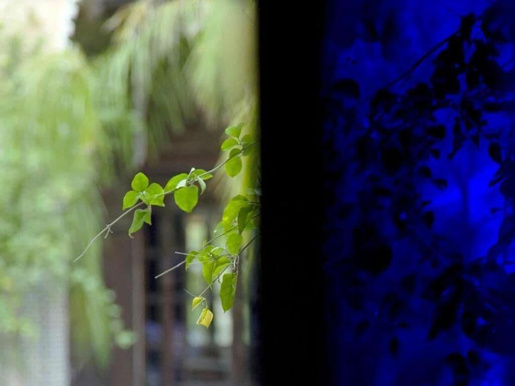 Riad Palais Sheherazade & 5*